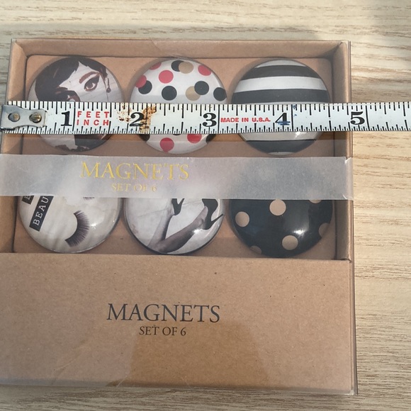 Papyrus glass dome 6 magnets fashion be beautiful New - Picture 14 of 15